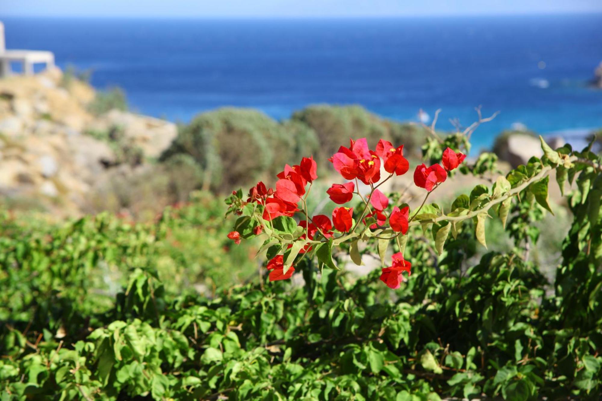 Nama Villas Super Paradise Beach  Eksteriør billede